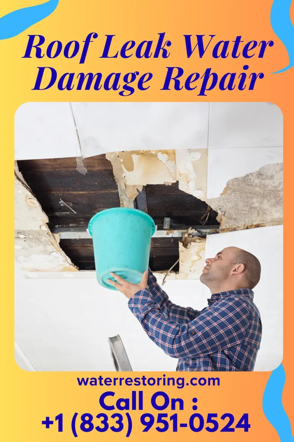 Roof Leak Water Damage Repair in West Kootenai, MT